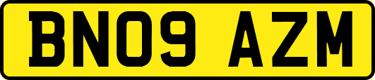 BN09AZM