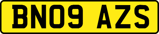 BN09AZS