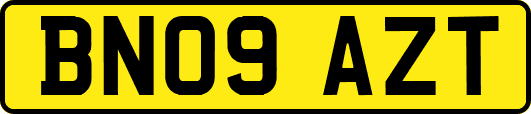 BN09AZT