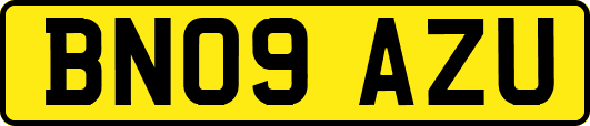BN09AZU