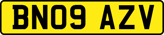 BN09AZV