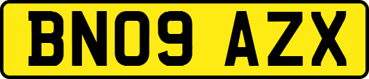BN09AZX