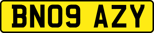 BN09AZY