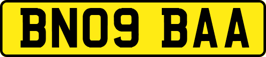 BN09BAA