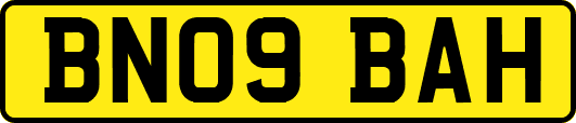 BN09BAH