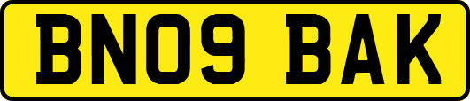BN09BAK