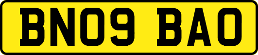 BN09BAO