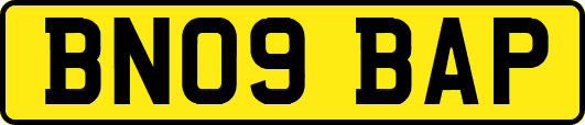 BN09BAP