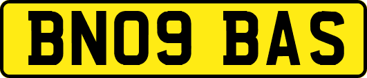 BN09BAS