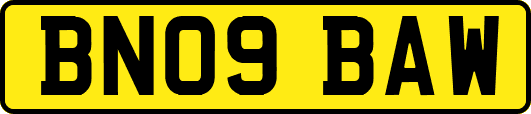 BN09BAW
