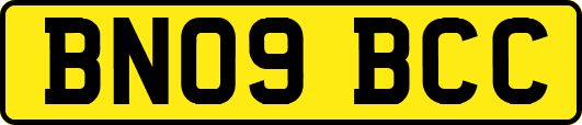 BN09BCC