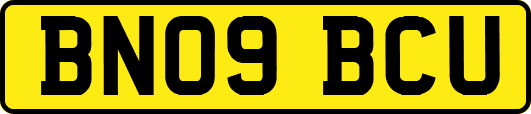 BN09BCU