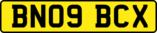 BN09BCX