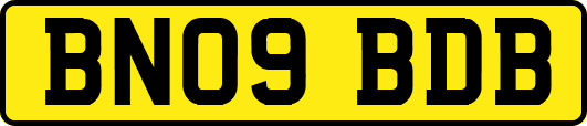 BN09BDB