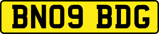 BN09BDG