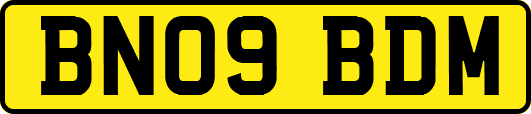 BN09BDM