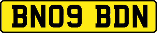 BN09BDN