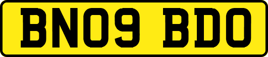 BN09BDO
