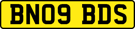 BN09BDS