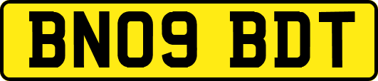 BN09BDT