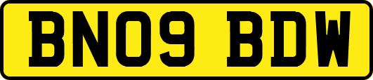 BN09BDW