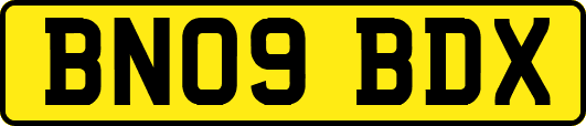 BN09BDX