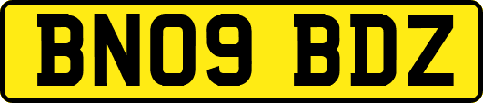 BN09BDZ