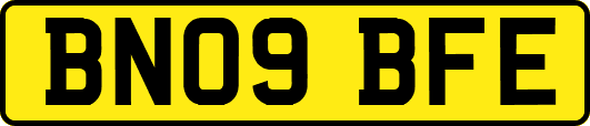BN09BFE
