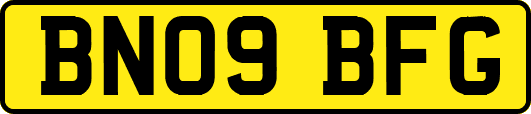 BN09BFG