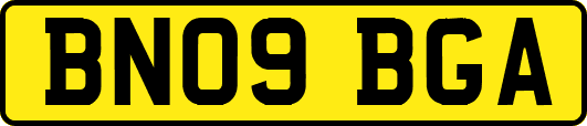 BN09BGA