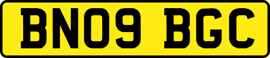 BN09BGC