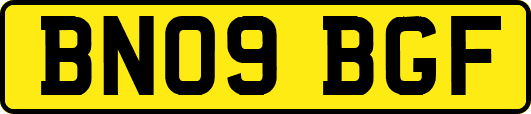 BN09BGF