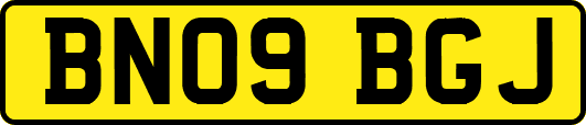 BN09BGJ