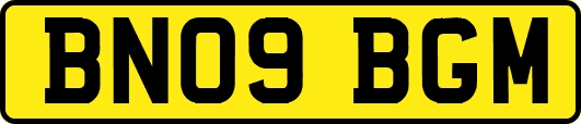 BN09BGM