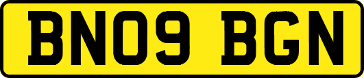 BN09BGN