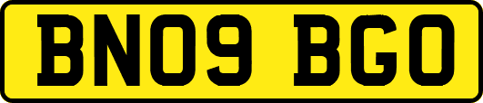 BN09BGO