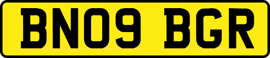 BN09BGR