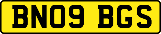 BN09BGS