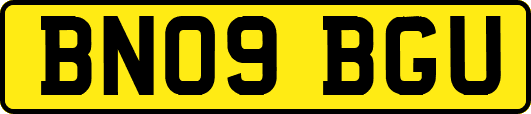 BN09BGU
