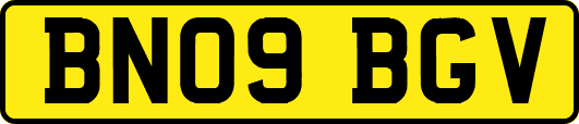 BN09BGV
