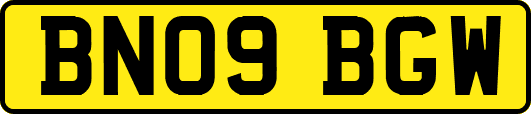 BN09BGW