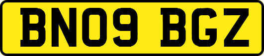 BN09BGZ