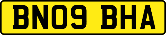 BN09BHA