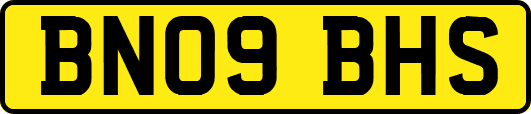 BN09BHS