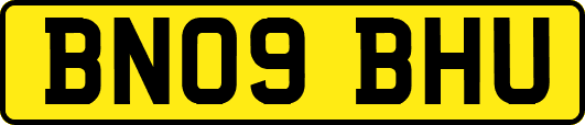 BN09BHU