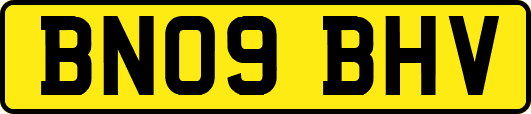 BN09BHV