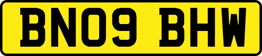 BN09BHW