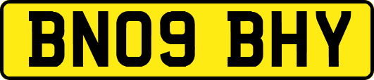 BN09BHY