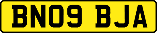 BN09BJA