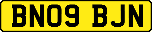 BN09BJN
